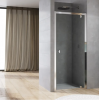 Ronal Sanswiss Arelia drzwi prysznicowe 100 cm srebrny polerowany D20T11004007